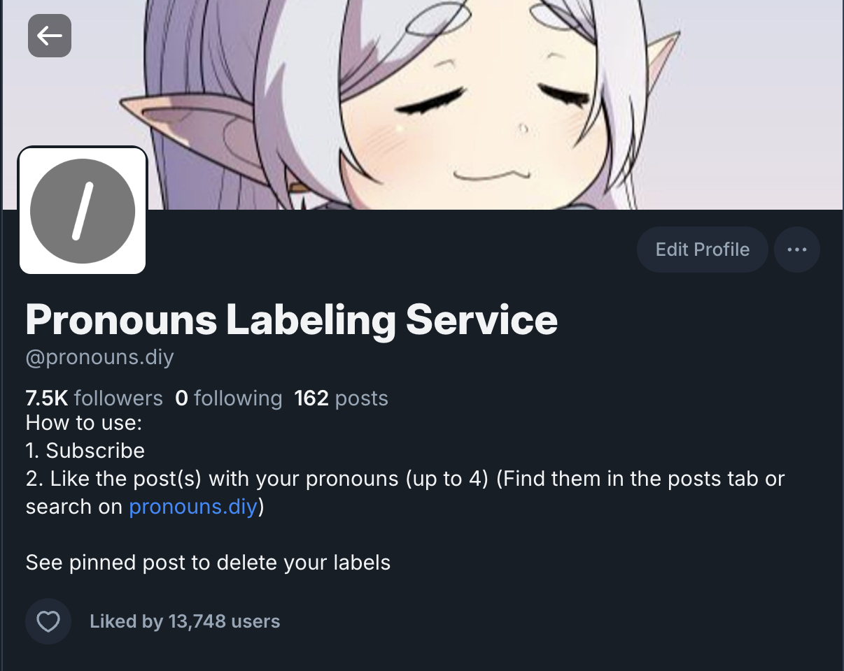 Pronouns Labeling Service profile