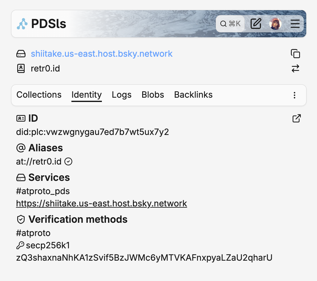 PDSls showing the identity tab of the retr0.id repository